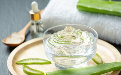 Aloe vera properties for skin: the complete guide to natural healing and protection